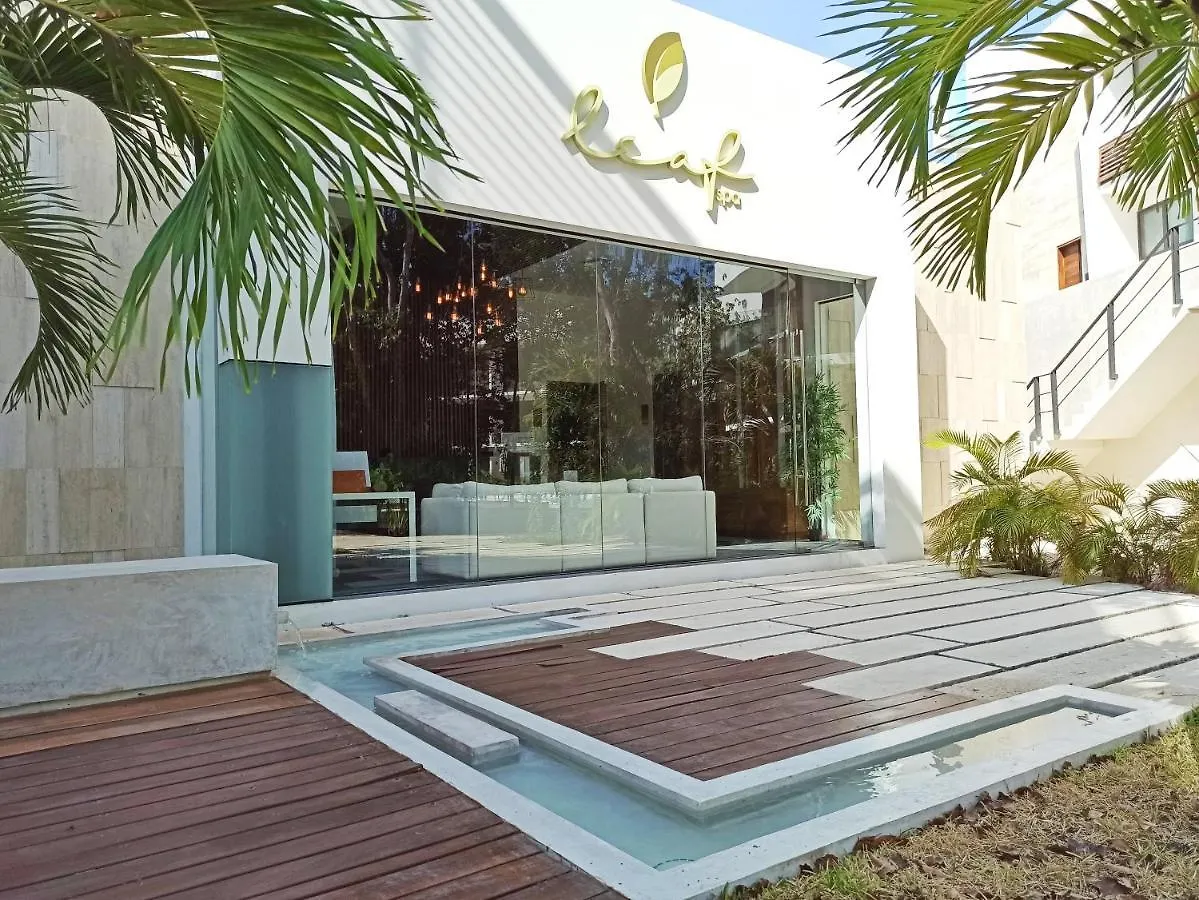 Central Park 103 Cozy And Modern Studio Spa Restaurant Gym Tulum